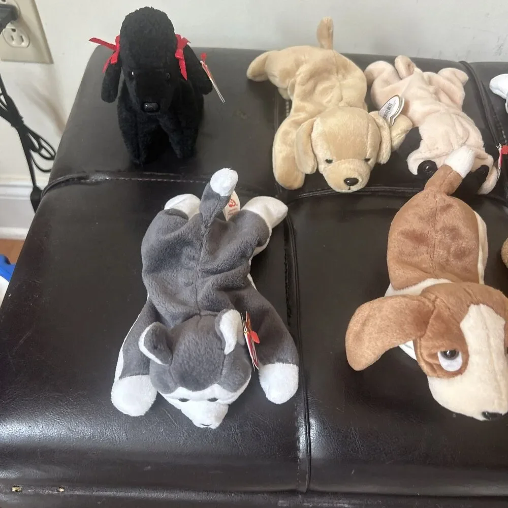 TY Beanie Babies Dog Lot  Of 12 Bones Wrinkles Fetcher 1990’s Retired Rare